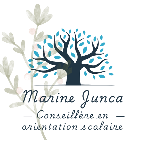 Conseil en orientation scolaire